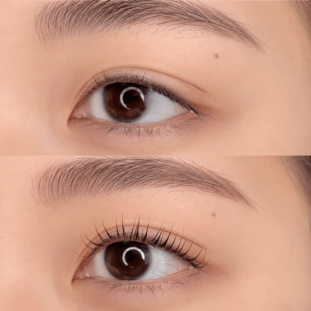 Korean Lash Lift & tint 3 Sessions at Serene Skin byWansada in Matthews, NC